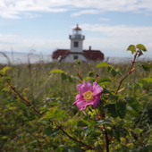 lighthouse